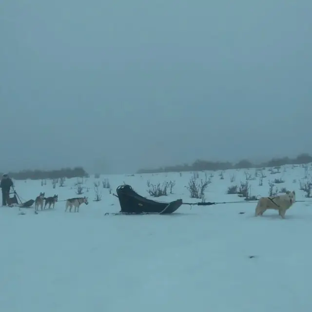 Instagram #pyreneesariegeoises