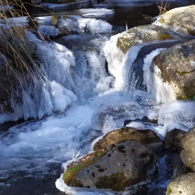 Instagram #pyreneesariegeoises