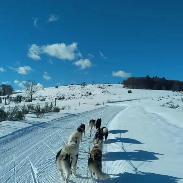 Instagram #pyreneesariegeoises