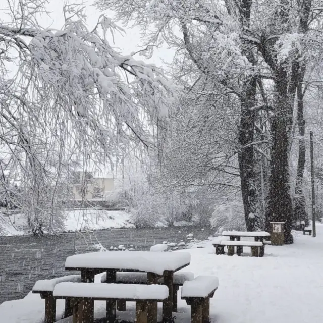 Instagram #pyreneesariegeoises