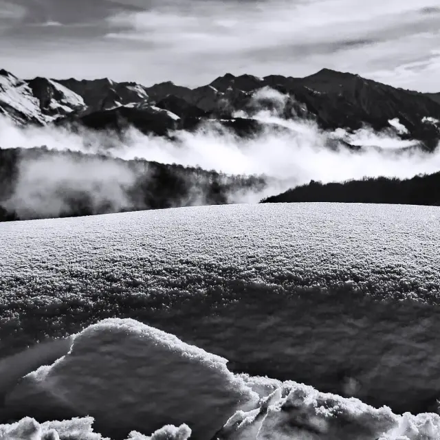 Instagram #pyreneesariegeoises