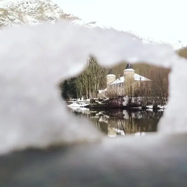 Instagram #pyreneesariegeoises