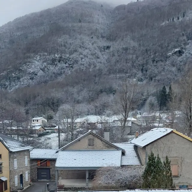 Instagram #pyreneesariegeoises