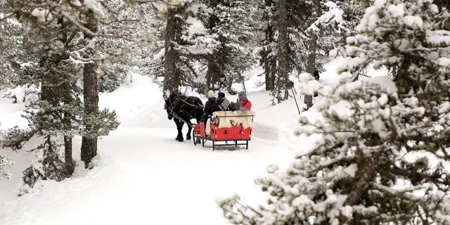 Angaka balade en calèche