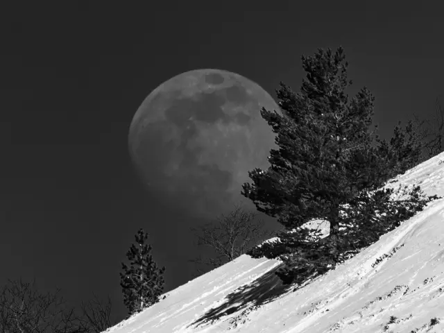 Crépuscule de la lune sur la neige