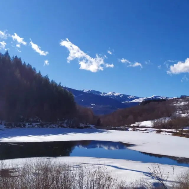 Instagram #pyreneesariegeoises