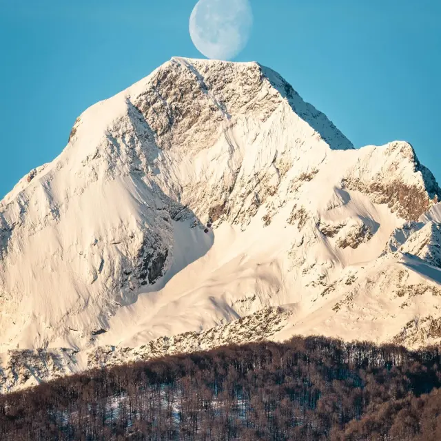 Instagram #pyreneesariegeoises