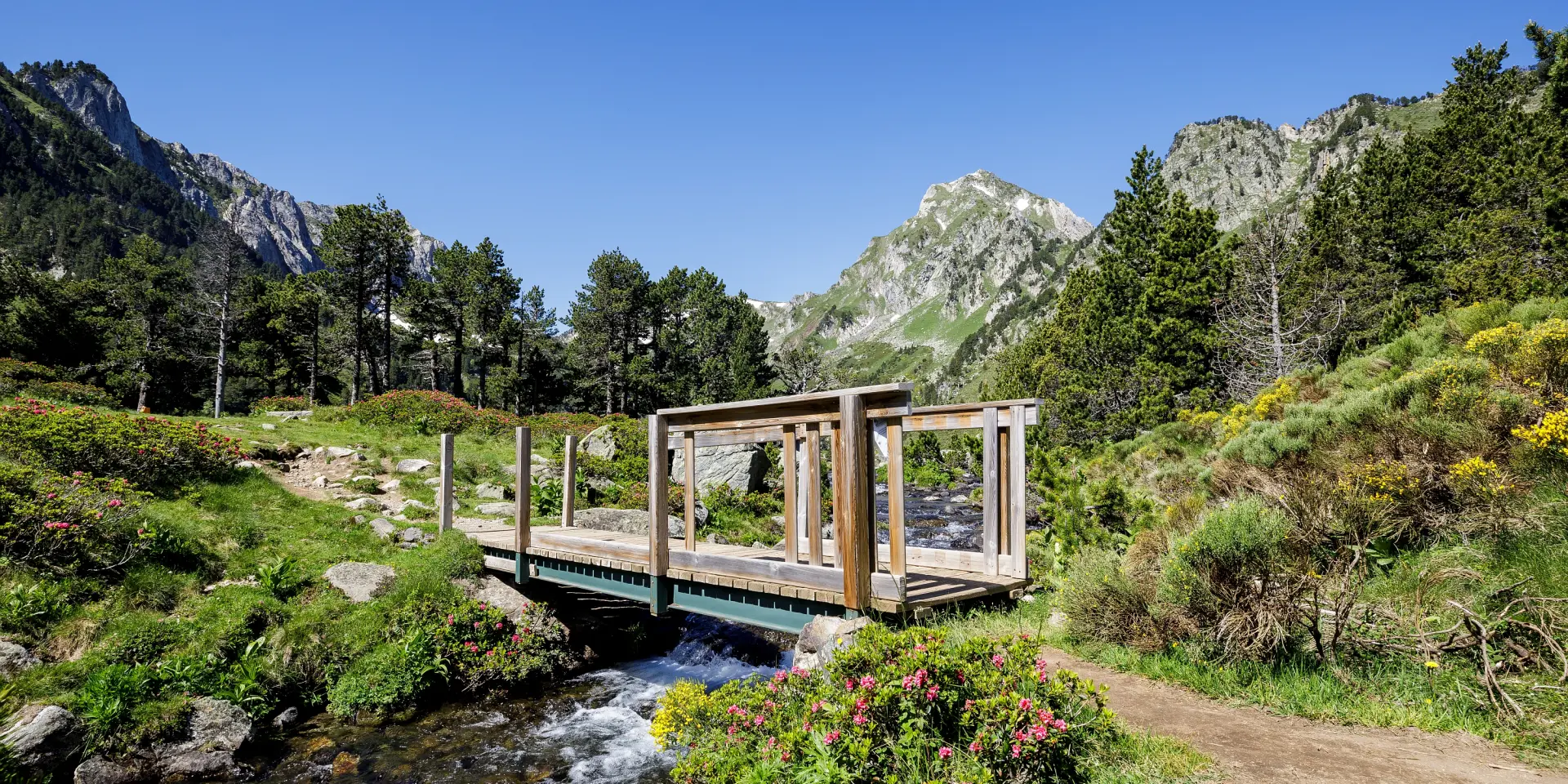 Paysage de montagne avec un ciel bleu et de la verdure autour et un petit ponr en bois