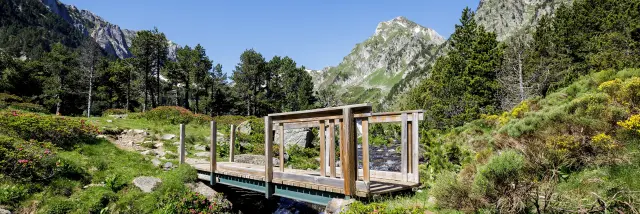 Paysage de montagne avec un ciel bleu et de la verdure autour et un petit ponr en bois