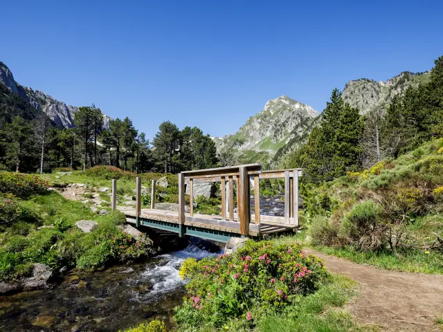 Paysage de montagne avec un ciel bleu et de la verdure autour et un petit ponr en bois