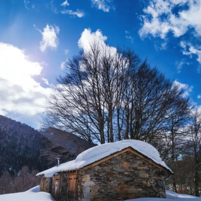 Instagram #pyreneesariegeoises