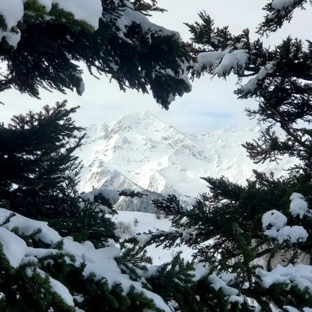 Instagram #pyreneesariegeoises