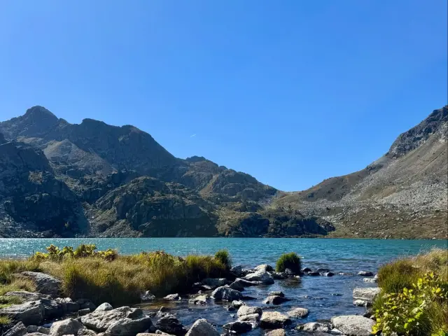 Instagram #pyreneesariegeoises