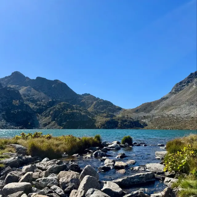 Instagram #pyreneesariegeoises