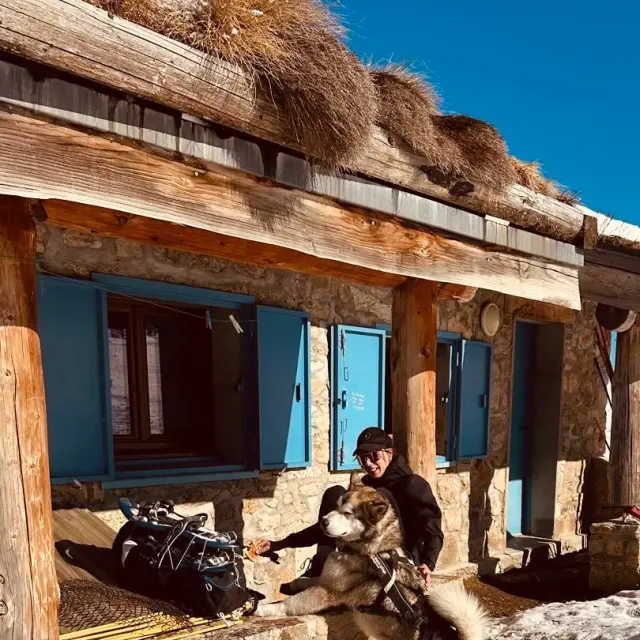 Instagram #pyreneesariegeoises