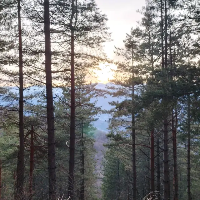 Instagram #pyreneesariegeoises