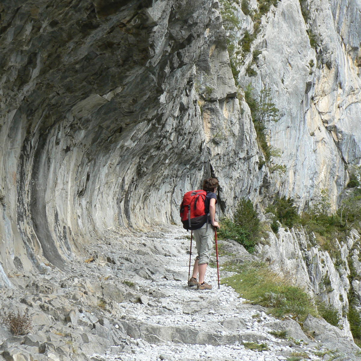 Le Chemin de la Mâture Web oficial del Pirineo Bearnés