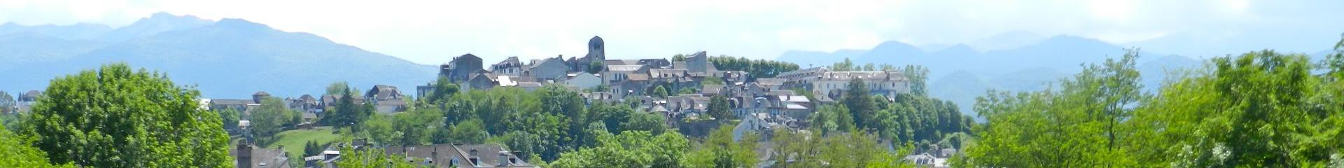 Vue sur le gave d'Ossau et sur le quartier Sainte-Croix d'Oloron Sainte-Marie