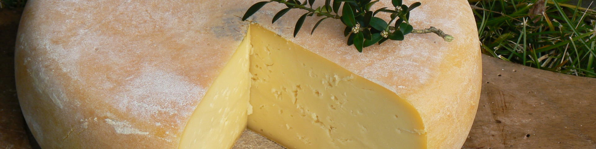 Tomme de fromage de brebis coupée