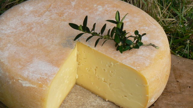 Tomme de fromage de brebis coupée