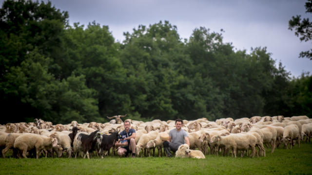 Producteurs du Gaec Mounet à Ogeu-les-Bains avec ses brebis et son fromage