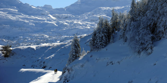 Raquetas de nieve en Issarbe