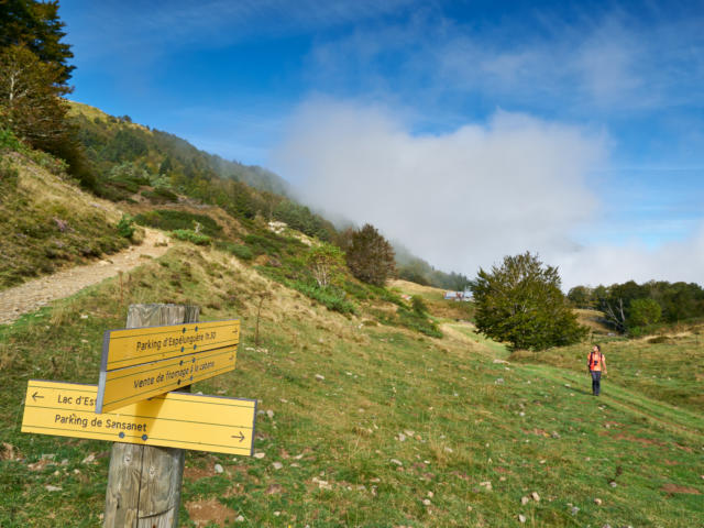 Biocoop Oloron Haut-Béarn - 🍃 L'écogeste du week-end 🍃 Les