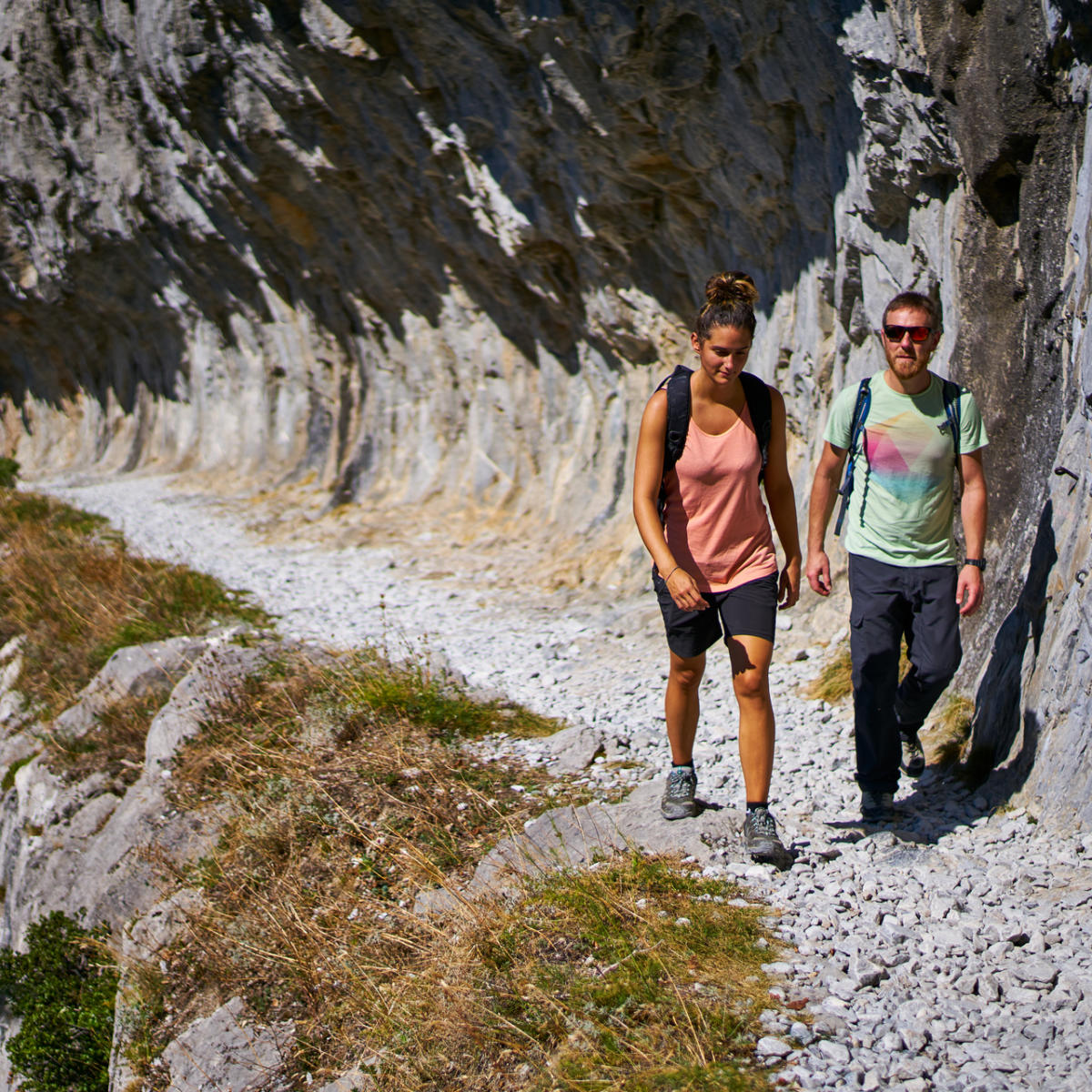Le Chemin de la Mâture Web oficial del Pirineo Bearnés