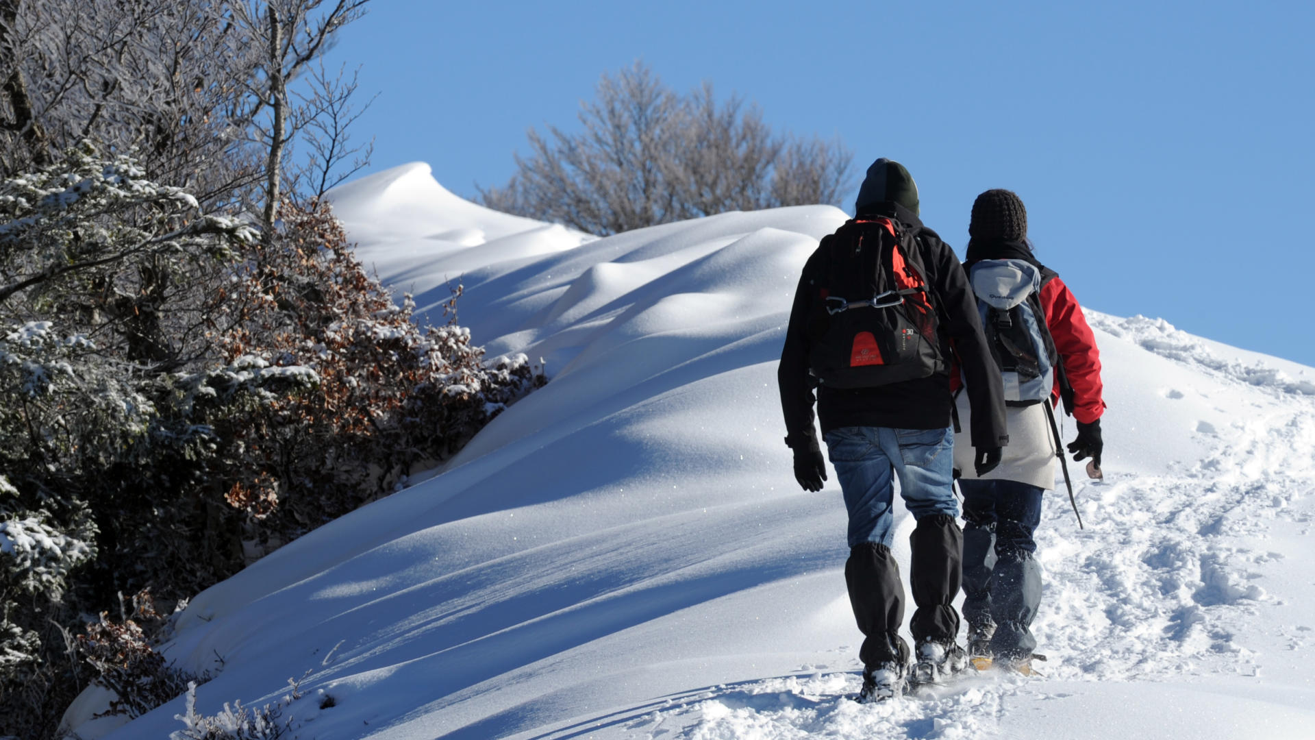Raquetas de nieve en la estación de nórdica de Issarbe