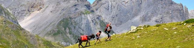 Une famille de randonneurs avec un âne marche dans la montagne