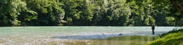 Pescador en un rio de Oloron