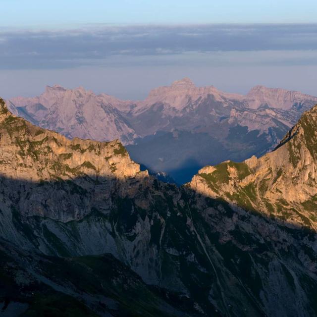 Instagram #pyreneesbearnaises