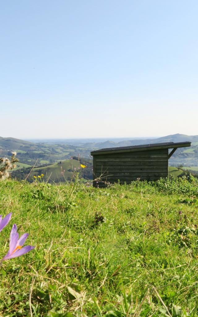 Vue en montant aux Pantières de Lanne en Barétous
