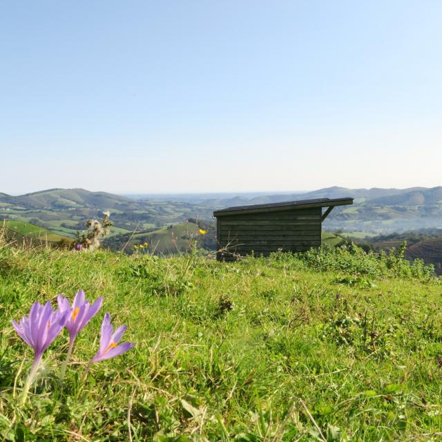 Vue en montant aux Pantières de Lanne en Barétous