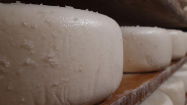 Salage et affinage des fromages