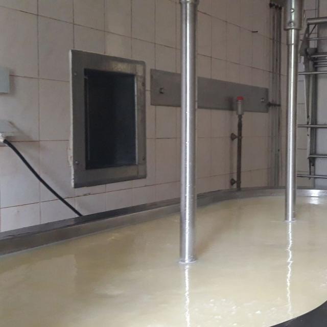 Le lait arrive dans la cuve, encore appelée tank à lait