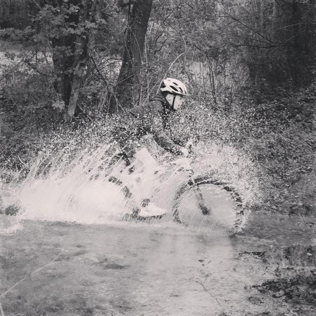 Instagram #pyreneesbearnaises