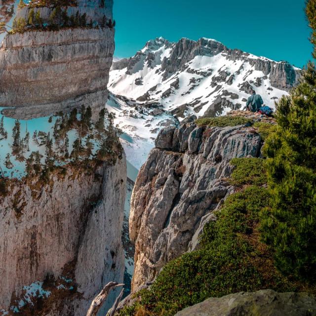 Instagram #pyreneesbearnaises