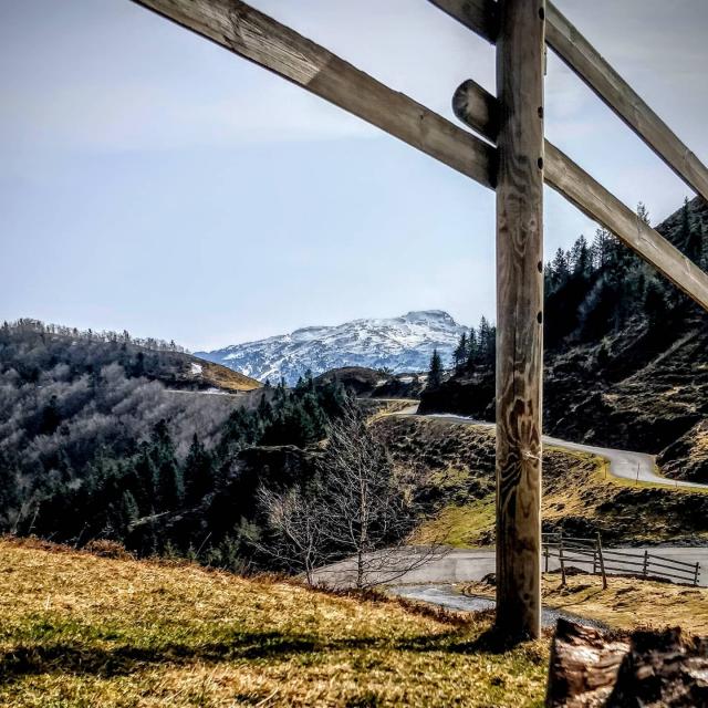 Instagram #issarbe
