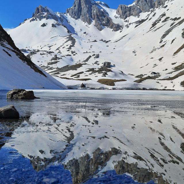 Instagram #pyreneesbearnaises