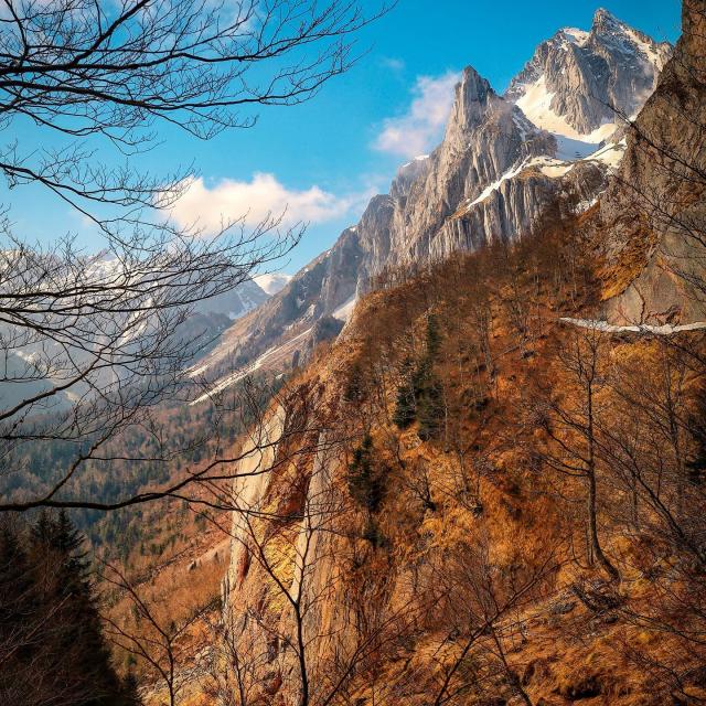 Instagram #pyreneesbearnaises