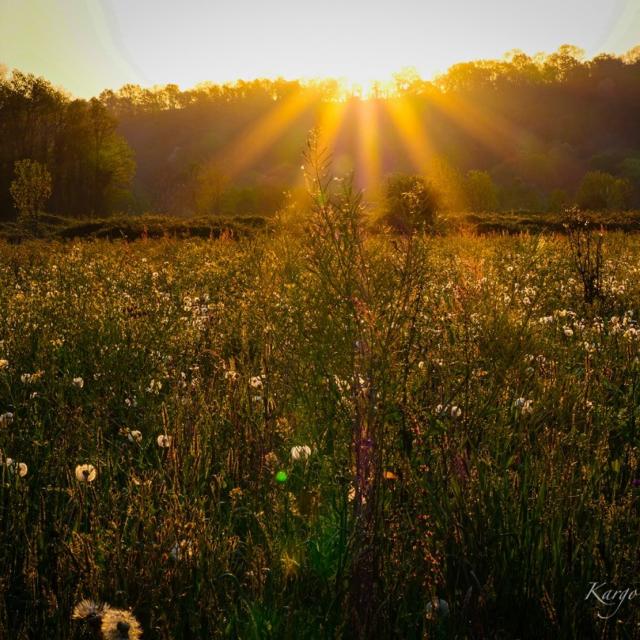 Instagram #oloron
