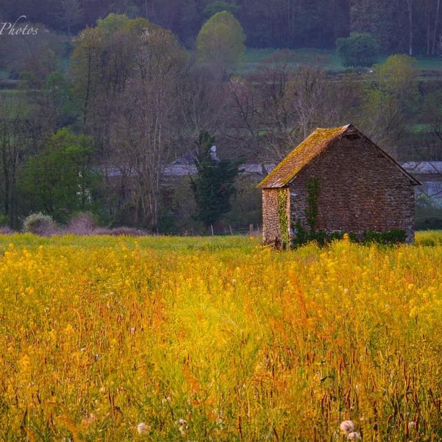 Instagram #oloron