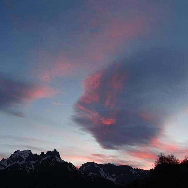 Instagram #pyreneesbearnaises