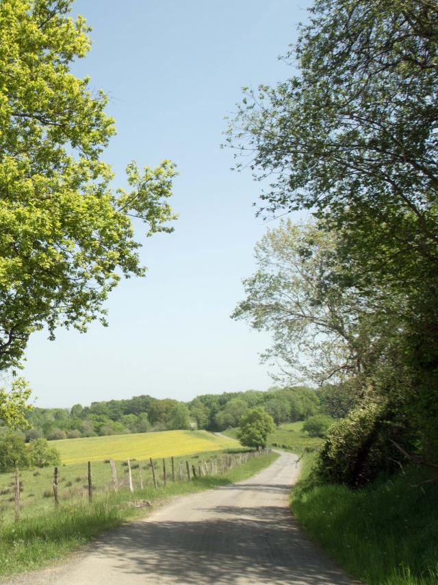 Pratiquet le gravel en Pyrénérées Béarnaises
