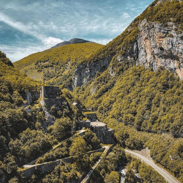 Instagram #pyreneesbearnaises