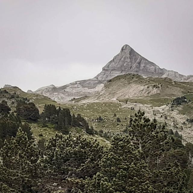 Instagram #lapierresaintmartin