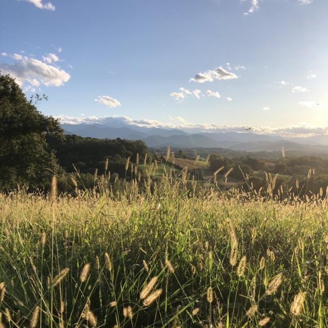 Instagram #oloron