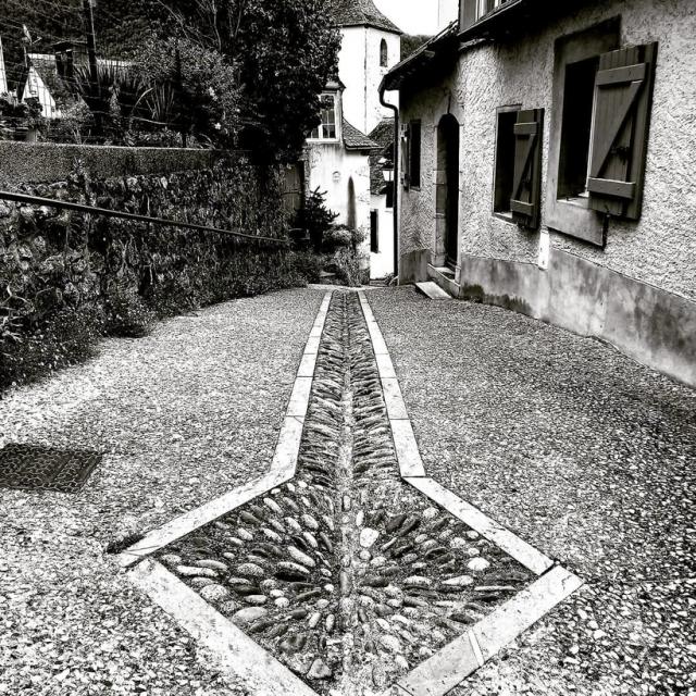Instagram #pyreneesbearnaises