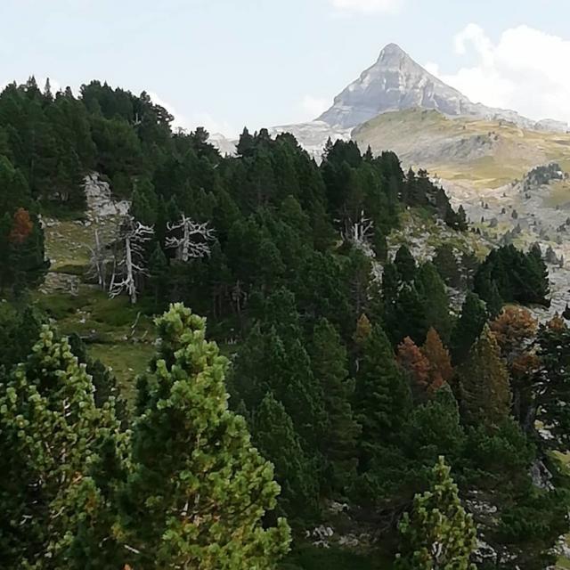 Instagram #lapierresaintmartin